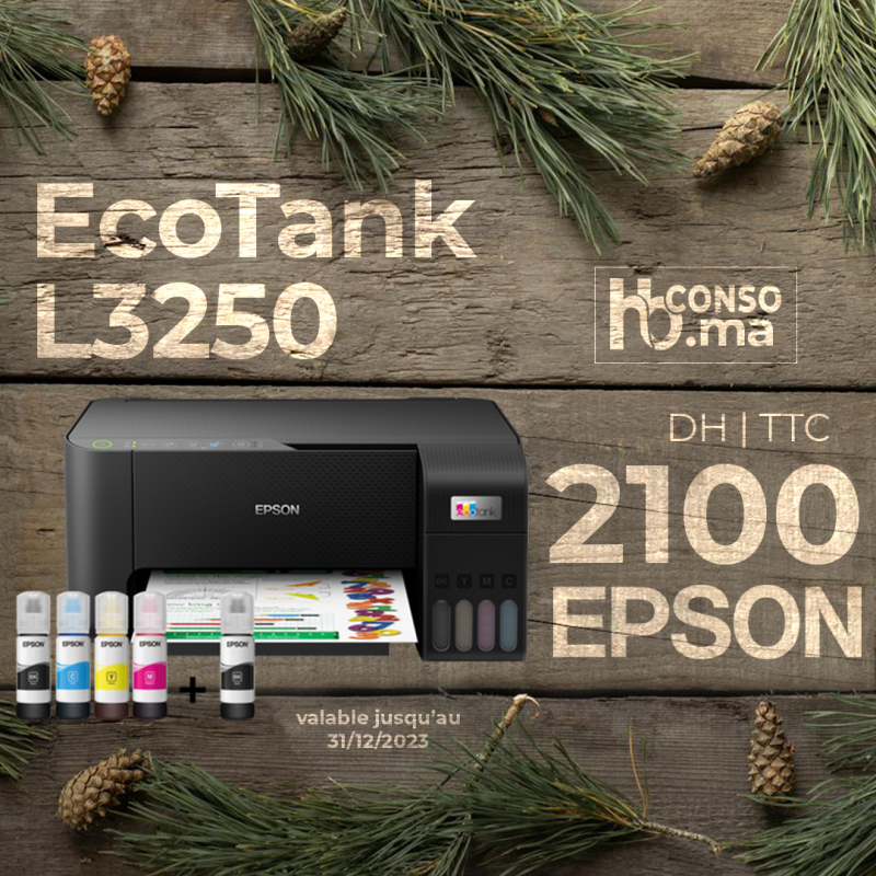 Epson L3250